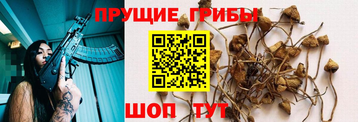Псилоцибиновые грибы Magic Shrooms  Вход с VPN  Южноуральск 
